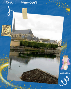 Read more about the article Book signing at the FNAC in Nemours on September 27, 2025